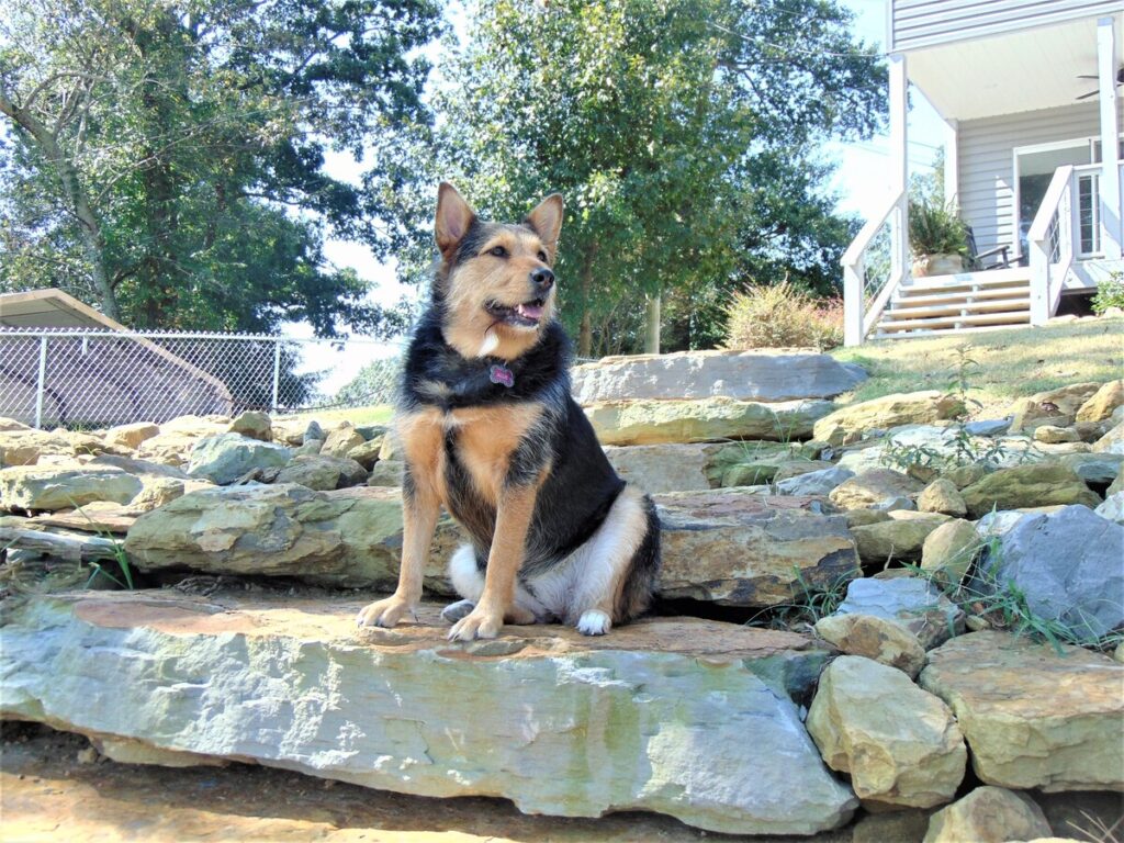 This is Allie Surveying Lake Activities