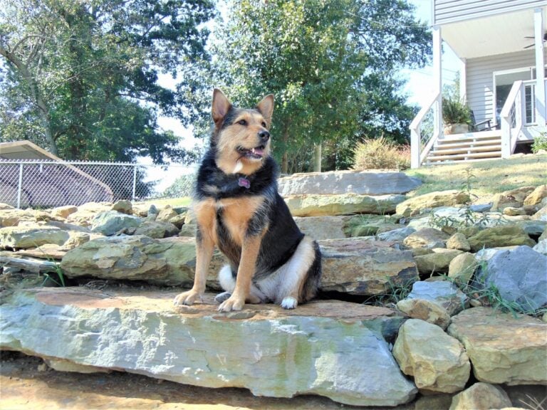 This is Allie Surveying Lake Activities