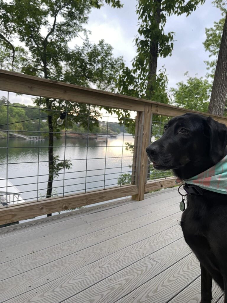 lakefront private pool with family dog and 2Poochies Properties logo